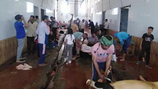 مجازر الوادي الجديد تنهي عملها في عيد الأضحى بعد ذبح 342 أضحية