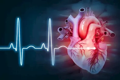 أسباب سرعة ضربات القلب أثناء الراحة- طبيب يجيب: هل لها دلالات خطيرة؟