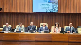 مصر تقود التنسيق العربي من جنيف قبيل انطلاق مؤتمر العمل الدولي
