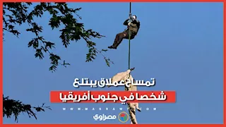 تمساح عملاق يبتلع رجل أعمال في جنوب أفريقيا.. وما عُثر عليه داخل أمعائه صادم