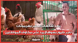 بعد شائعات الحقن بهرمونات.. تاجر طيور بسوهاج يرد على مخاوف المواطنين