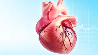  اكتشاف طبي جديد.. هل يستطيع القلب إصلاح نفسه؟ 