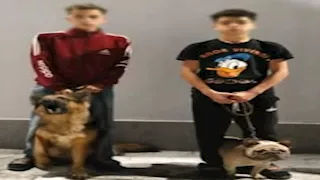 الداخلية تكشف ملابسات فيديو رعب في الجيزة وآخر مثير للجدل لمسن بالهرم