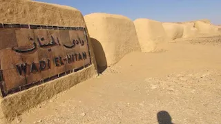 بعد تجديد اعتماده بالقائمة الخضراء.. ماذا نعرف عن وادي الحيتان؟ وما أبرز محتوياته؟