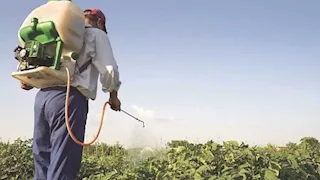 الزراعة: 1919 إجراءً تنظيميًا لمبيدات الآفات خلال أبريل.. وتوسع في دعم التصنيع المحلي