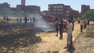 نيران وسط الغيطان.. حريق في محصول قمح بقرية ميت أبو الكوم بالمنوفية- صور