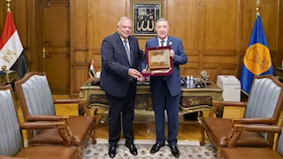 "الدستورية" و"قومي حقوق الإنسان" يبحثان حماية الحقوق والحريات