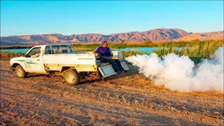 استهداف بؤر التوالد.. جنوب سيناء تواصل حربها على الناموس والحشرات