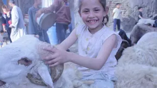 صورة فوق خروف العيد تتحول لآخر ذكرى.. مأساة غرق الطفلة "سجدة" بالباجور