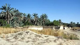 شريان مائي تحت الرمال.. "عين جالاو" بالفرافرة تبوح بأسرار هندسة الرومان 