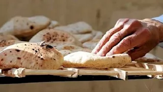برلماني: استمرار دعم الخبز ضرورة.. والتحول لـ"النقدي" يحتاج دراسة متأنية