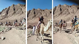 رحلة بين الجبال والمقدسات.. سانت كاترين تستقبل أفواجًا سياحية جديدة (صور)