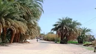 محافظ أسوان يحيل مواطنًا للنيابة بعد كسر خطي مياه بكوم أمبو