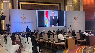 وزير الزراعة أمام "بريكس": مصر تدعم الأمن الغذائي وتمكين صغار المزارعين
