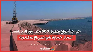 حواجز أمواج بطول 600 متر.. وزير الري يتفقد أعمال حماية شواطئ الإسكندرية