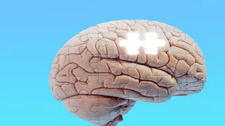 لماذا ننسى بعض الذكريات بسهولة ونحتفظ بأخرى؟