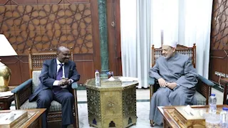 الطيب يؤكد استعداد الأزهر لتعزيز الدعم العلمي والدعوي لأبناء جيبوتي