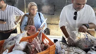 ضبط لحوم ودواجن فاسدة داخل مخزن مطعم في العبور -صور  