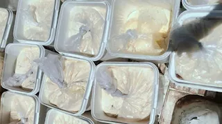 ضبط 300 كيلو زبدة مجهولة المصدر  داخل معمل ألبان بأسيوط -صور