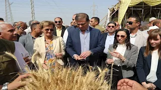 إنجازات 12 عامًا.. الصادرات الزراعية تقفز 300% وتسجل 9.5 ملايين طن