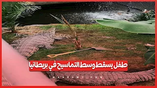 امرأة تنقذ طفلًا سقط وسط التماسيح في بريطانيا