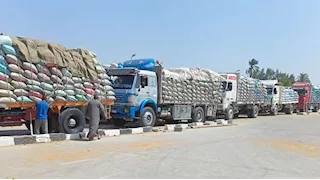 تموين بني سويف: توريد 348 ألف طن قمح منذ بداية الموسم