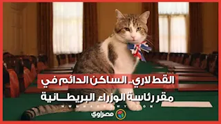 من هو القط "لاري" الذي استمر أكثر من رؤساء وزراء بريطانيا؟