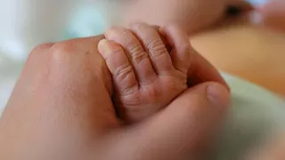 بعد انخفاض معدلات المواليد.. هل تراجعت الخصوبة عند المصريين؟  