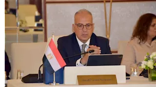وزير الري يدعو لتفعيل الاستراتيجية العربية للأمن المائي وتحويلها إلى مشروعات