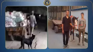 بعد فيديو أثار الغضب.. ضبط عاطلين حوّلا شارعًا إلى مقلب قمامة بالمرج