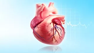  لا تفعلها بعد الساعة 7 مساء.. عادات قد تهدد صحة القلب والشرايين