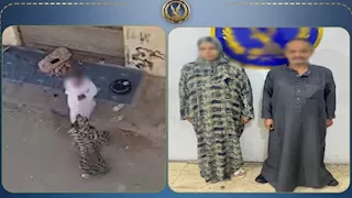 مشاجرة بين سيدة ومالك عقار بسبب خلافات الإيجار في الغردقة