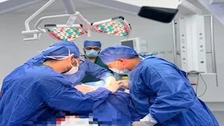 للمرة الأولى عالميا.. نجاح زراعة كبد كامل وكليتين من خنزير إلى إنسان