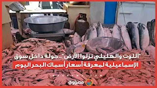 "اللوت والهليلي نزلوا الأرض".. جولة داخل سوق الإسماعيلية لمعرفة أسعار أسماك البحر اليوم