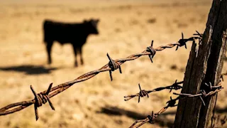 تنتقل للبشر.. "أكلة لحوم الأحياء" تغزو ولاية تكساس الأمريكية