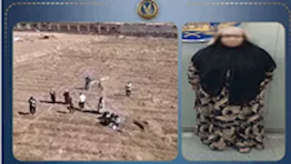 فيديو الغش من الشرفة ينتهي بضبط سيدة أمام لجنة امتحانات بالدقهلية
