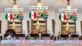 القط العراف يعود للواجهة ويتوقع الفائز بمباراة افتتاح كأس العالم 2026