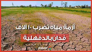 أزمة مياه تضرب 10 آلاف فدان بالدقهلية.. ومزارعون: "الأرز مات من العطش وبننقل المية بالجِرادل"