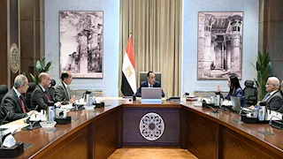 الحكومة تبحث حوافز جديدة للمهن الحرة والمصريين بالخارج للاستفادة من التأمينات