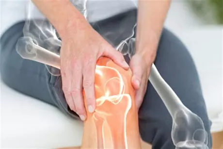 "الريحان" أبرزها.. تعرف على 5 أعشاب غنية بالكالسيوم لصحة أفضل