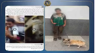 ضبط متهم بتعذيب كلب وتكبيله في البساتين بعد فيديو متداول