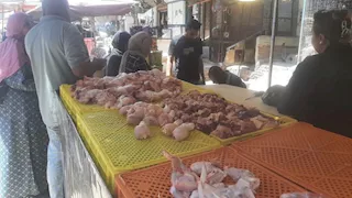 بالصور- حملة تكشف حقن الدواجن بمادة لزيادة الوزن في القليوبية