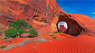 نقوش ونباتات نادرة.. وادي الحمرا يحكي أسرار الجنة الخضراء المفقودة بالوادي الجديد (صور)