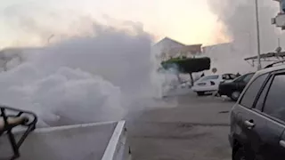 غزو الناموس يثير شكاوى أهالي بورسعيد.. والمحافظة تدفع بسيارات الرش - صور