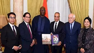 وزير الخارجية يؤكد مواصلة مصر جهودها الحثيثة لدعم القضية الفلسطينية