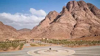 سر الشجرة الوحيدة فوق ارتفاع 2150 متراً.. حكاية جبل الصفصافة ووادي الراحة بسانت كاترين