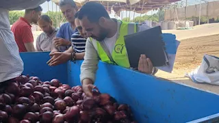 سلامة الغذاء: رقابة مستمرة على محطات التعبئة لتعزيز تنافسية الصادرات