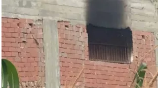 تصاعد الأدخنة من النوافذ.. حريق هائل يلتهم مقهى في المنوفية- صور