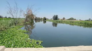 لجنة فنية ترصد أسباب ارتفاع منسوب مياه المصارف في كفر الشيخ- صور