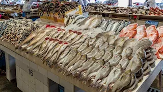 أسعار الأسماك في سوق العبور اليوم.. انخفاض المكرونة السويسي 